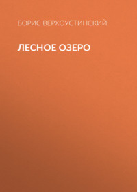 Борис Верхоустинский. Лесное озеро