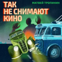 Матвей Тропинин. Так не снимают кино