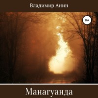 Владимир Анин. Манагуанда