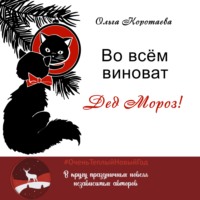 . Во всём виноват Дед Мороз!