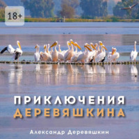 Александр Деревяшкин. Приключения Деревяшкина