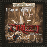 R.A. Salvatore. DRIZZT, Folge 14: Gef?hrliche Begegnung