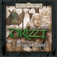 R. A. Salvatore. DRIZZT, Folge 6: Der H?ter des Waldes