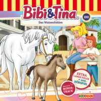 Matthias von Bornst?dt. Bibi & Tina, Folge 100: Das Waisenfohlen