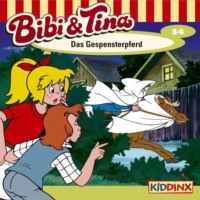 . Bibi & Tina, Folge 34: Das Gespensterpferd