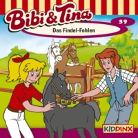 . Bibi & Tina, Folge 39: Das Findel-Fohlen