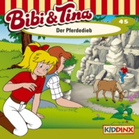 . Bibi & Tina, Folge 45: Der Pferdedieb