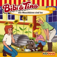 . Bibi & Tina, Folge 63: Die Waschb?ren sind los