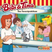 Markus Dittrich. Bibi & Tina, Folge 67: Das Tierarztpraktikum