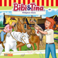 Matthias von Bornst?dt. Bibi & Tina, Folge 89: Wildg?nse-Alarm