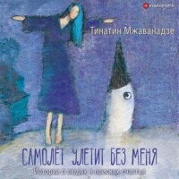 . Самолет улетит без меня