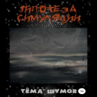 Тёма Шумов. Гипотеза симуляции