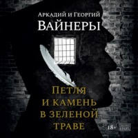 . Петля и камень в зеленой траве
