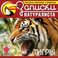 Коллектив авторов. Рассказы классиков о животных. Тигры