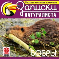 Коллектив авторов. Рассказы классиков о животных. Бобры