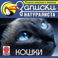 Коллектив авторов. Рассказы классиков о животных. Кошки