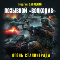 Георгий Савицкий. Позывной «Волкодав». Огонь Сталинграда