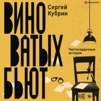Сергей Кубрин. Виноватых бьют