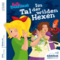 . Im Tal der wilden Hexen - Bibi Blocksberg - H?rbuch (Ungek?rzt)