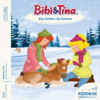 . Das Fohlen im Schnee - Bibi & Tina - H?rbuch, Folge 9 (Ungek?rzt)
