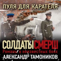 Александр Тамоников. Пуля для карателя