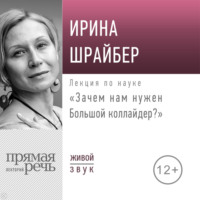 Ирина Шрайбер. Лекция «Зачем нам нужен Большой коллайдер»