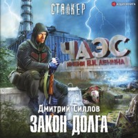 Дмитрий Силлов. Закон Долга