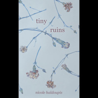 Nicole Haldoupis. Tiny Ruins (Unabridged)