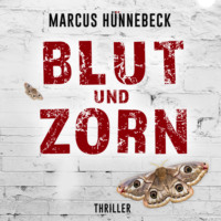 . Blut und Zorn - Drosten und Sommer, Band 3 (ungek?rzt)