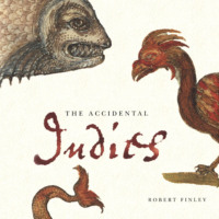 Robert Finley. The Accidental Indies (Unabridged)