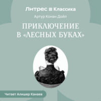 . Приключение в «Лесных Буках»