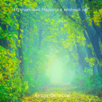 Антон Евгеньевич Фетисов. Путешествие Маркуса в зелёный лес