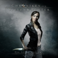 . Die Suche beginnt - Die Chroniken der Seelenw?chter, Band 1 (Ungek?rzt)