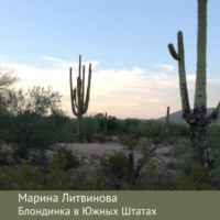 Марина Литвинова. Блондинка в Южных Штатах