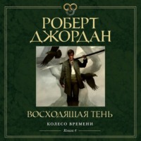 Роберт Джордан. Колесо Времени. Книга 4. Восходящая Тень
