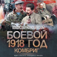 . Боевой 1918 год. Комбриг