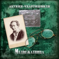 Борис Акунин. Медвежатница