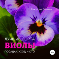 . Виолы. Лучшие сорта