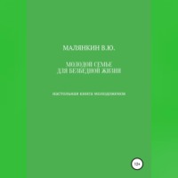 Владимир Юрьевич Малянкин. Молодой семье для безбедной жизни. Настольная книга молодоженов