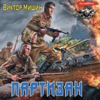 . В игре. Партизан
