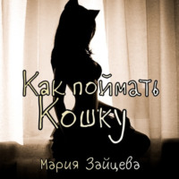 . Как поймать кошку