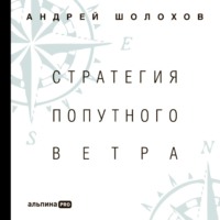 Андрей Шолохов. Стратегия попутного ветра. Как обнаружить или создать асимметрии, способные придать бизнесу ускорение