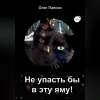 Олег Юрьевич Папков. Не упасть бы в эту яму!