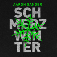 Aaron Sander. Schmerzwinter - Nyg?rd und Wasmuth ermitteln, Teil 1 (Ungek?rzt)