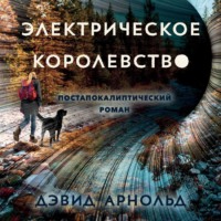 Дэвид Арнольд. Электрическое королевство