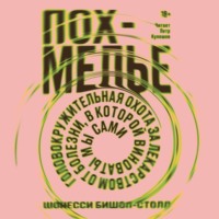 Шонесси Бишоп-Столл. Похмелье. Головокружительная охота за лекарством от болезни, в которой виноваты мы сами