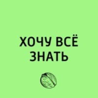 Выдающиеся растения. Орхидеи – экзотическое чудо или комнатный цветок?