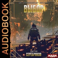 . Параллельный мир. Книга 3. Выбор