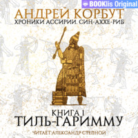 Андрей Корбут. Книга 1. Тиль Гаримму