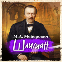 Моисей Ликманович Мейерович. Шлиман